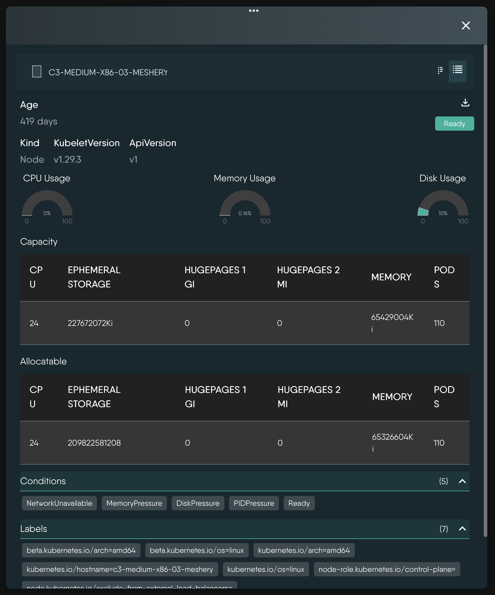 Details panel for a Kubernetes node
